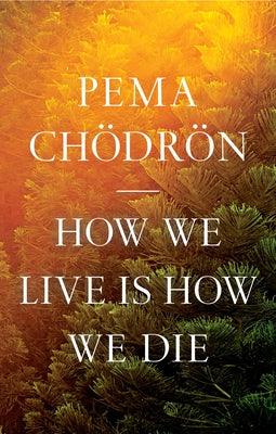 How We Live Is How We Die - Hardcover | Diverse Reads