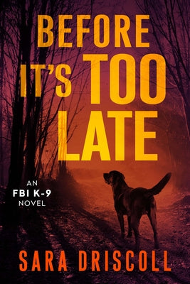 Before It's Too Late - Paperback | Diverse Reads