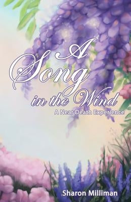 A Song in the Wind: A Near Death Experience - Paperback | Diverse Reads
