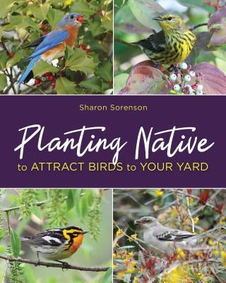 Planting Native to Attract Birds to Your Yard - Paperback | Diverse Reads