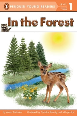 In the Forest - Paperback | Diverse Reads