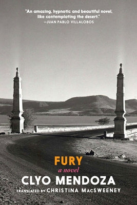 Fury - Paperback | Diverse Reads