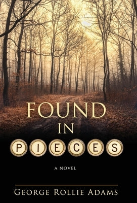 Found in Pieces - Hardcover | Diverse Reads