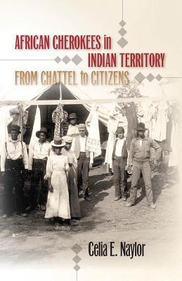 African Cherokees in Indian Territory: From Chattel to Citizens / Edition 1 - Paperback | Diverse Reads