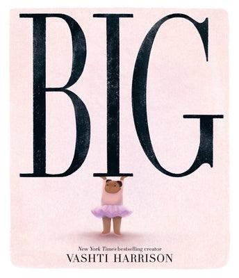 Big - Hardcover |  Diverse Reads