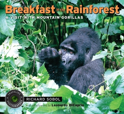 Breakfast in the Rainforest: A Visit with Mountain Gorillas - Paperback | Diverse Reads