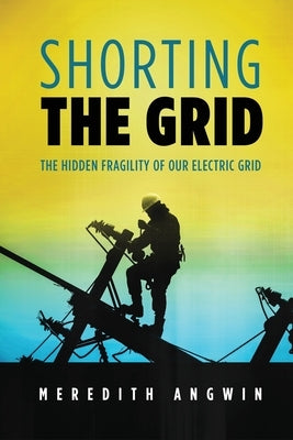 Shorting the Grid: The Hidden Fragility of Our Electric Grid - Paperback | Diverse Reads