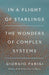 In a Flight of Starlings: The Wonders of Complex Systems - Hardcover | Diverse Reads