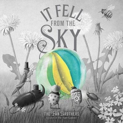 It Fell from the Sky - Hardcover | Diverse Reads