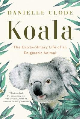 Koala: The Extraordinary Life of an Enigmatic Animal - Paperback | Diverse Reads