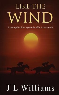 Like The Wind - Paperback | Diverse Reads