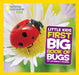 Little Kids First Big Book of Bugs - Hardcover | Diverse Reads