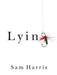 Lying - Hardcover | Diverse Reads