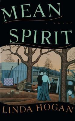 Mean Spirit - Paperback | Diverse Reads