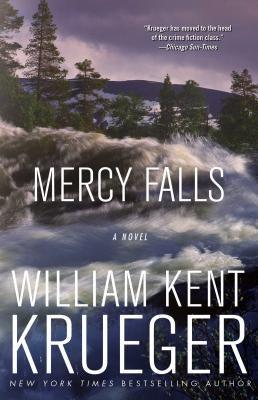 Mercy Falls - Paperback | Diverse Reads