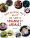 Mind-Blowing Facts about the Planet's Strangest Animals - Paperback | Diverse Reads