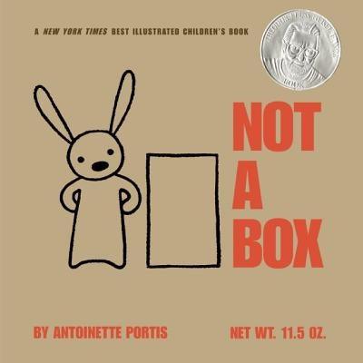 Not a Box - Hardcover | Diverse Reads