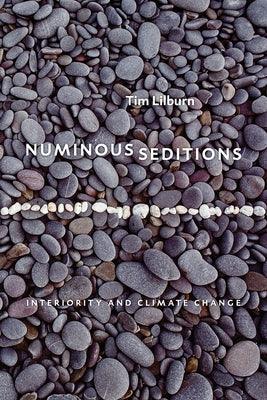Numinous Seditions: Interiority and Climate Change - Paperback | Diverse Reads