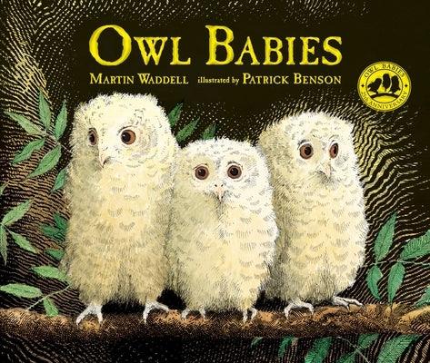 Owl Babies - Hardcover | Diverse Reads