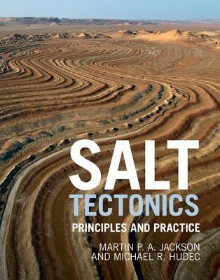 Salt Tectonics - Hardcover | Diverse Reads