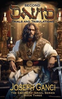 Second David Trials and Tribulations - Hardcover | Diverse Reads