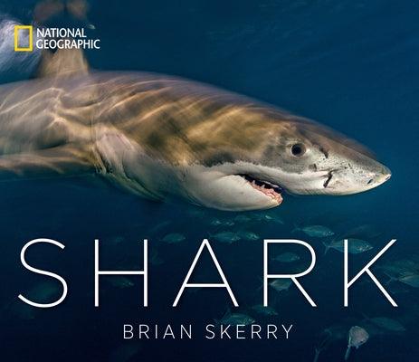 Shark - Hardcover | Diverse Reads