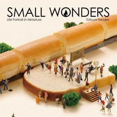 Small Wonders - Life Portrait in Miniature - Hardcover | Diverse Reads