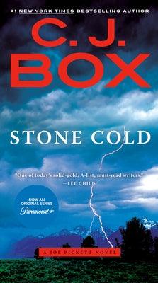 Stone Cold - Paperback | Diverse Reads