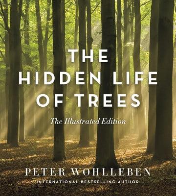 The Hidden Life of Trees: The Illustrated Edition - Hardcover | Diverse Reads