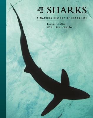 The Lives of Sharks: A Natural History of Shark Life - Hardcover | Diverse Reads
