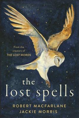 The Lost Spells - Hardcover | Diverse Reads