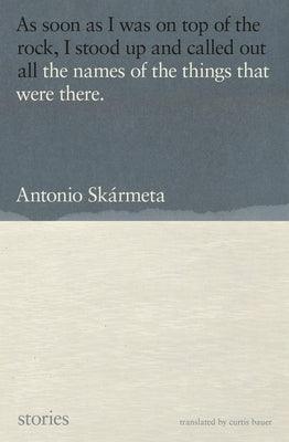 The Names of the Things That Were There: Stories - Paperback | Diverse Reads