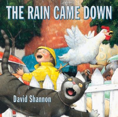 The Rain Came Down - Hardcover | Diverse Reads