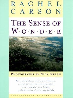 The Sense of Wonder - Hardcover | Diverse Reads