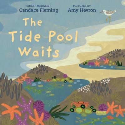 The Tide Pool Waits - Hardcover | Diverse Reads