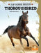 Thoroughbred - Paperback | Diverse Reads