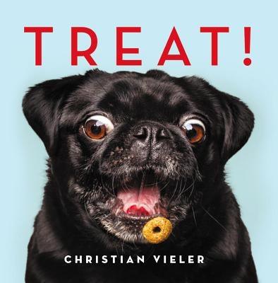 Treat! - Hardcover | Diverse Reads