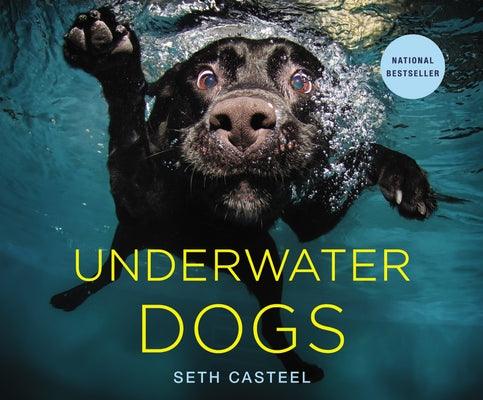 Underwater Dogs - Hardcover | Diverse Reads