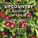 Upcountry Cranberry: A Treasury of Sour, Savory, and Sweet Wild Lingonberry Recipes - Paperback | Diverse Reads