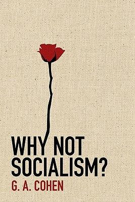 Why Not Socialism? - Hardcover | Diverse Reads