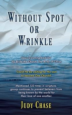 Without Spot or Wrinkle - Paperback | Diverse Reads