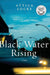 Black Water Rising - Paperback | Diverse Reads