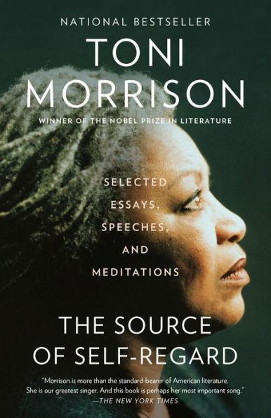 The Source of Self-Regard: Selected Essays, Speeches, and Meditations - Paperback | Diverse Reads