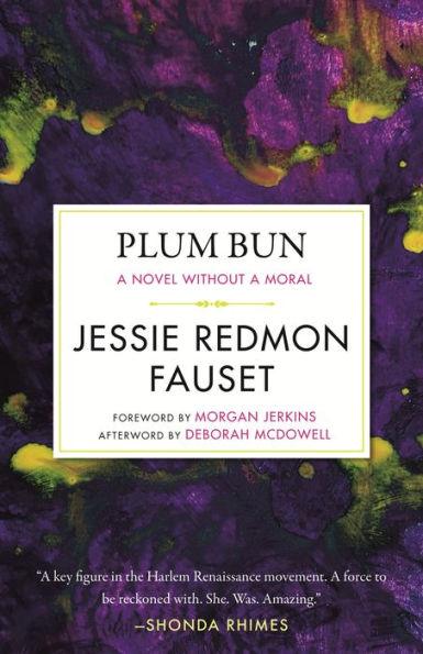 Plum Bun: A Novel without a Moral - Paperback | Diverse Reads