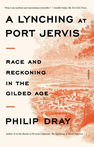 A Lynching at Port Jervis: Race and Reckoning in the Gilded Age - Paperback | Diverse Reads