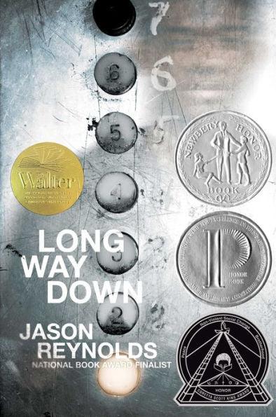Long Way Down - Hardcover | Diverse Reads