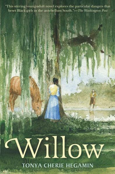 Willow - Paperback | Diverse Reads