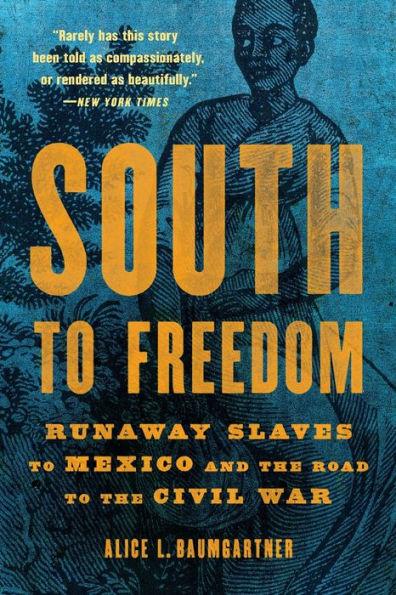 South to Freedom: Runaway Slaves to Mexico and the Road to the Civil War - Paperback | Diverse Reads
