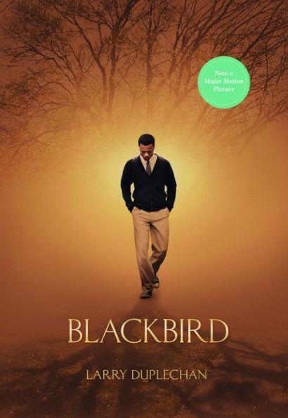 Blackbird (New Edition) - Paperback(Second Edition) | Diverse Reads