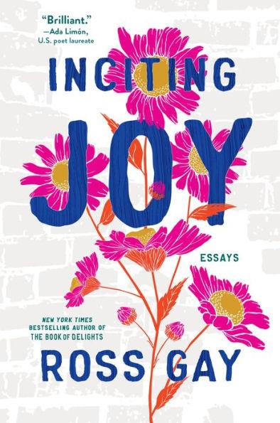 Inciting Joy: Essays - Hardcover | Diverse Reads